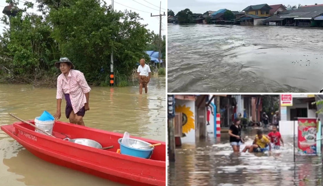 ชาวพัทลุงใน 5 อำเภอรอบทะเลสาบสงขลาได้รับความเดือดร้อนอย่างหนักจากน้ำท่วม ระดับน้ำสูงจนหลายพื้นที่ต้องเร่งอพยพ ขณะเดียวกันประชาชนจำนวนมากเผชิญปัญหาโรคน้ำกัดเท้าเพิ่มความทุกข์ยากขึ้นไปอีก