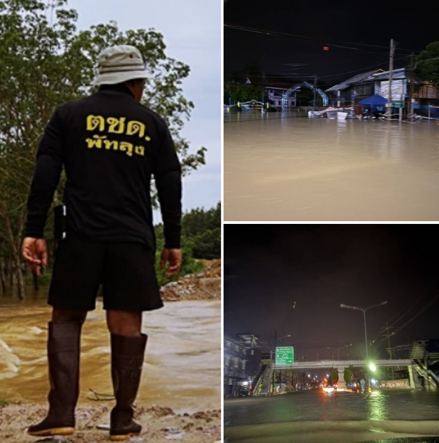 แอน อลิชา ส่งกำลังใจให้เจนี่ บอกเรื่องนี้หนักจริง หลังเจ้าตัวโพสต์เผยไม่คิดว่าจะเกิดกับตัวเอง