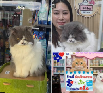 เพ็ทช็อปสระแก้วร่วมโครงการ ‘คนละครึ่งพลัส’ ถูกใจคนรักสัตว์ — เจ้าของเล่าจุดเริ่มต้นจากแมวจรเพียง 1 ตัว