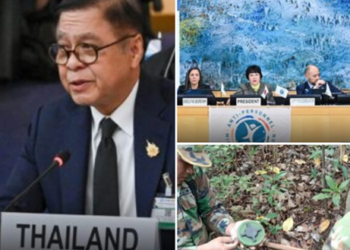 กัมพูชาปั่นป่วน! หลังไทยเปิดคลิปโชว์หลักฐานชัด เขมรวางทุ่นระเบิด กลางที่ประชุมออตตาวา จุดชนวนประท้วงหนักทั่วประเทศ