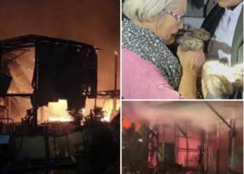 ไฟไหม้กลางดึก! ลุกลาม 2 หลัง บ้านวอนขอความช่วยเหลือ—สุดเศร้า แมว 24 ตัวติดกรง หนีไม่ทัน ถูกไฟคลอกดับยกชุด!